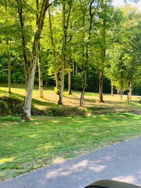 61 Spring Valley Rd, Taft, TN 38488 photo 4