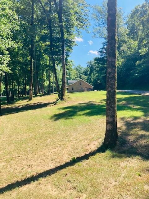 61 Spring Valley Rd, Taft, TN 38488 photo 6