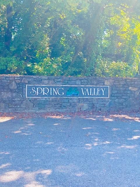 61 Spring Valley Rd, Taft, TN 38488 photo 2