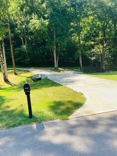 61 Spring Valley Rd, Taft, TN 38488 photo 5