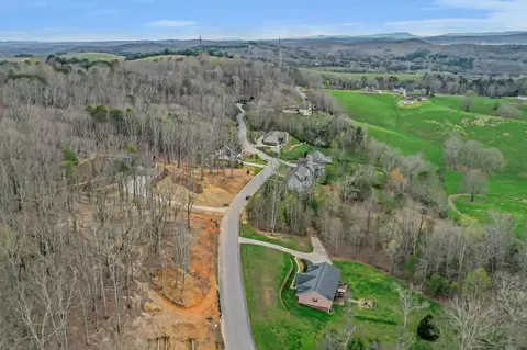 9888 Caseview Dr, Harrison, TN 37341 photo 34