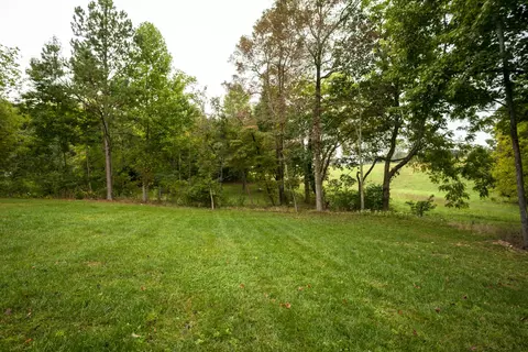 9807 Caseview Dr, Harrison, TN 37341 photo 69