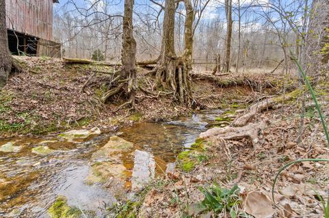 1860 Mcwhorter Rd, Cunningham, TN 37052 photo 31