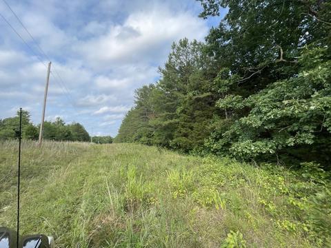 3918 Only Rd, Only, TN 37140 photo 18