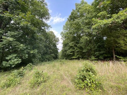 3918 Only Rd, Only, TN 37140 photo 23