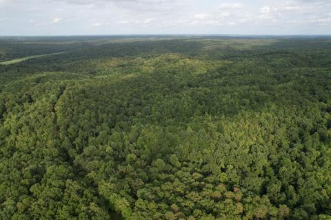 3918 Only Rd, Only, TN 37140 photo 26
