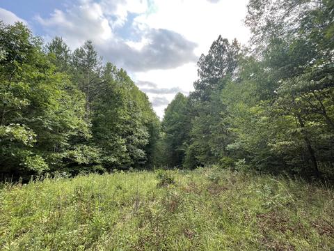 3918 Only Rd, Only, TN 37140 photo 20