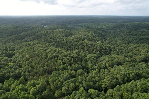 3918 Only Rd, Only, TN 37140 photo 25