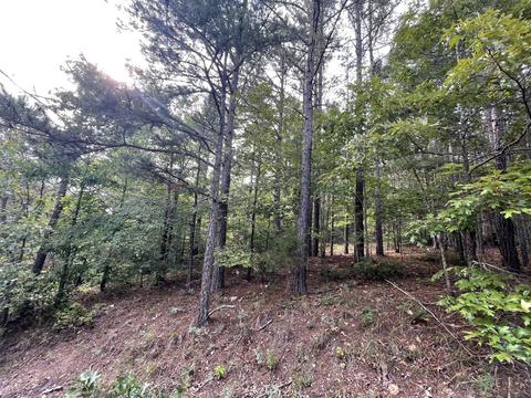 3918 Only Rd, Only, TN 37140 photo 22