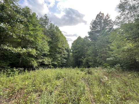 3918 Only Rd, Only, TN 37140 photo 19