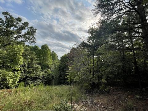 3918 Only Rd, Only, TN 37140 photo 21