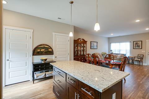 1043 Wells Way, Spring Hill, TN 37174 photo 14