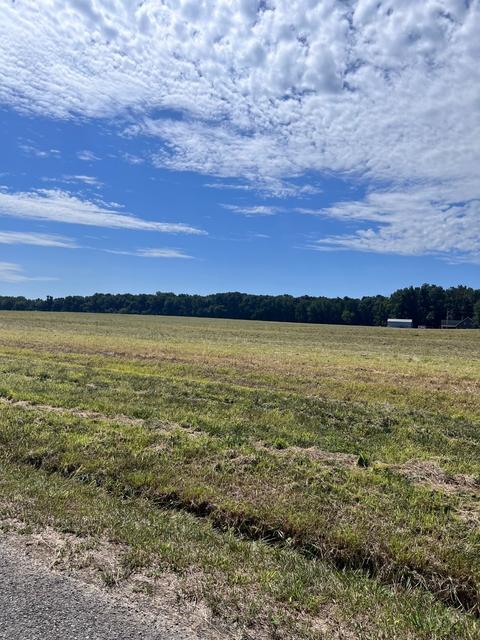 0 N Pitt N, Springfield, TN 37172 photo 16