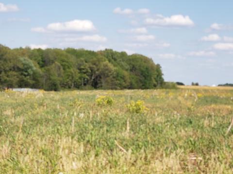 0 N Pitt N, Springfield, TN 37172 photo 2