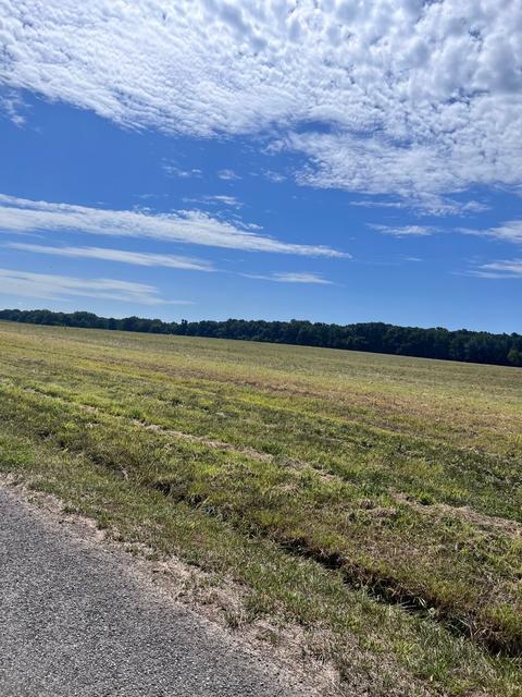 0 N Pitt N, Springfield, TN 37172 photo 17