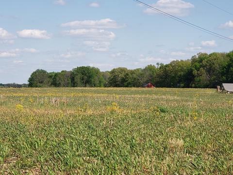 0 N Pitt N, Springfield, TN 37172 photo 5