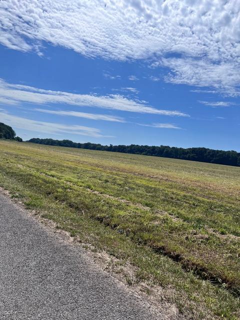 0 N Pitt N, Springfield, TN 37172 photo 15