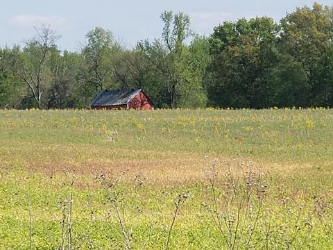 0 N Pitt N, Springfield, TN 37172 photo 4