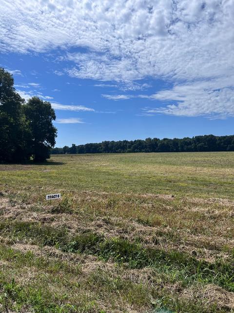 0 N Pitt N, Springfield, TN 37172 photo 9