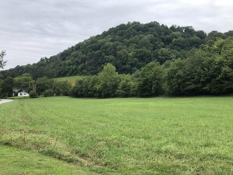 273 Little Creek Rd, Pleasant Shade, TN 37145