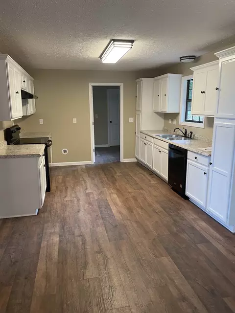 207 Chipman Rd, Bethpage, TN 37022 photo 21