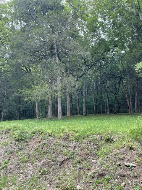207 Chipman Rd, Bethpage, TN 37022 photo 17
