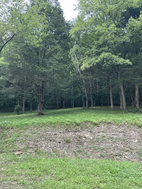 207 Chipman Rd, Bethpage, TN 37022 photo 16