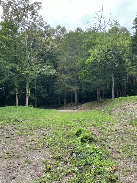 207 Chipman Rd, Bethpage, TN 37022 photo 15