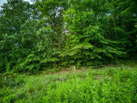 7263 Hook Ridge Rd, Monroe, TN 38573 photo 3