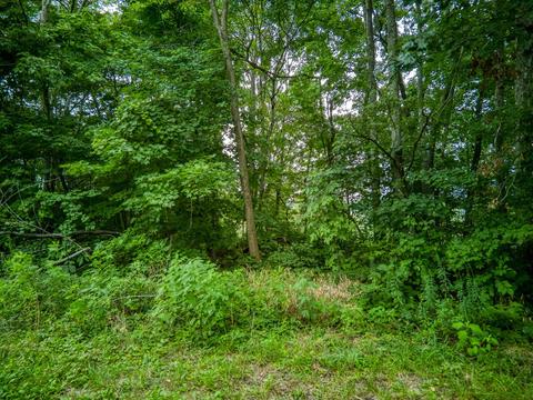 7263 Hook Ridge Rd, Monroe, TN 38573 photo 7