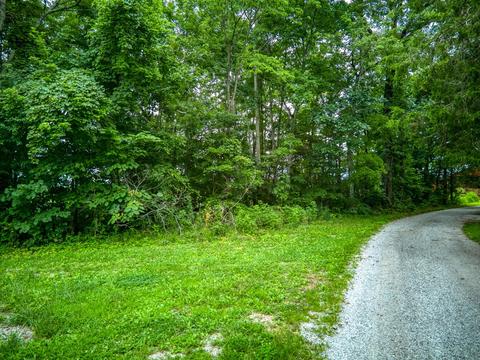 7263 Hook Ridge Rd, Monroe, TN 38573 photo 6