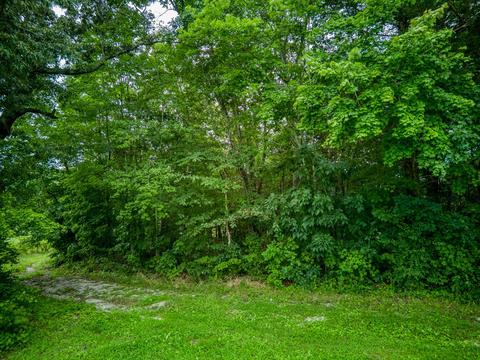 7263 Hook Ridge Rd, Monroe, TN 38573 photo 2