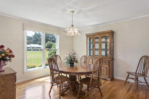 205 Turtle Neck Rd, Fairview, TN 37062 photo 16
