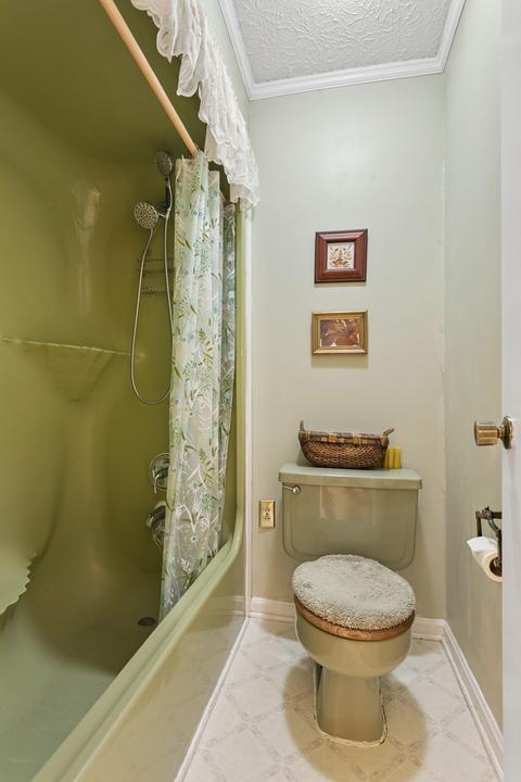 205 Turtle Neck Rd, Fairview, TN 37062 photo 21
