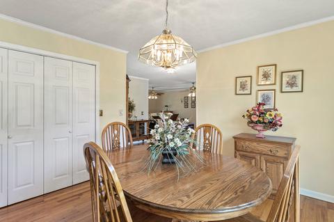 205 Turtle Neck Rd, Fairview, TN 37062 photo 17