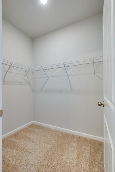 172 Nunally Dr, Baxter, TN 38544 photo 15