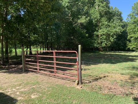 1438 Fall River Rd, Goodspring, TN 38460 photo 31
