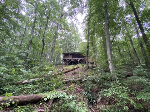 1438 Fall River Rd, Goodspring, TN 38460 photo 18