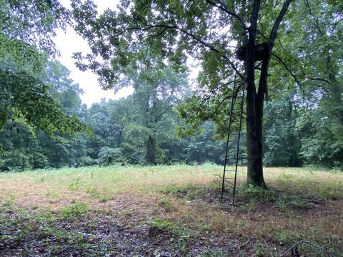 1438 Fall River Rd, Goodspring, TN 38460 photo 17