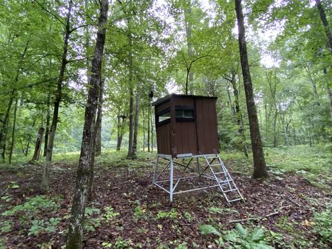 1438 Fall River Rd, Goodspring, TN 38460 photo 20