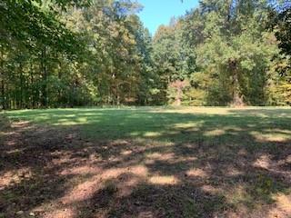 1438 Fall River Rd, Goodspring, TN 38460 photo 7