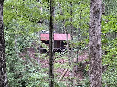 1438 Fall River Rd, Goodspring, TN 38460 photo 19