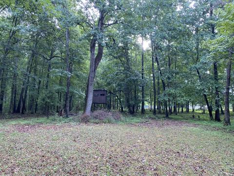 1438 Fall River Rd, Goodspring, TN 38460 photo 16