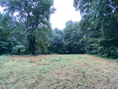 1438 Fall River Rd, Goodspring, TN 38460 photo 25