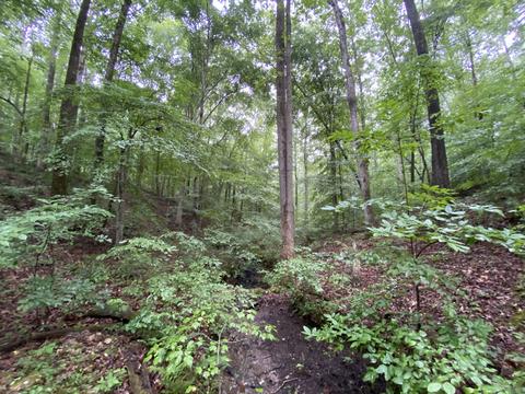 1438 Fall River Rd, Goodspring, TN 38460 photo 24