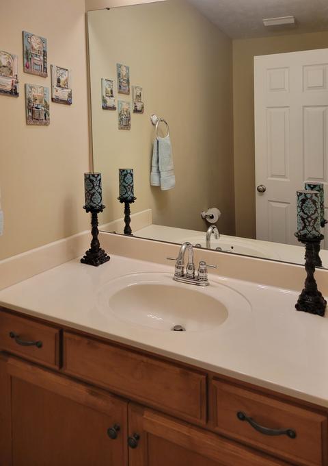 119 Falcon Pt, Baxter, TN 38544 photo 13