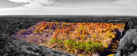 0 Dog Branch Rd, Mount Pleasant, TN 38474