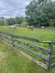 1701 Eagle Dr, Hixson, TN 37343 photo 55