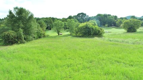 1036 Scott Rd, Bethpage, TN 37022 photo 7