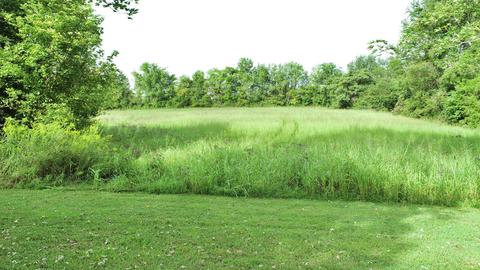 1036 Scott Rd, Bethpage, TN 37022 photo 9